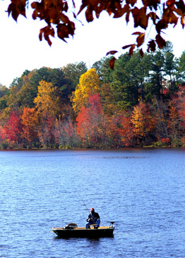 lake fishing in wadesboro nc