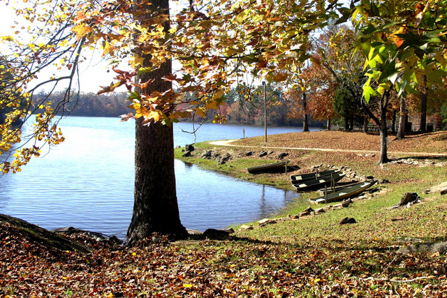 municipal lake  or City Pond in wadesboro